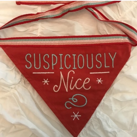 Christmas Pet Bandana Set Naughty and Nice - Picture 2 of 5